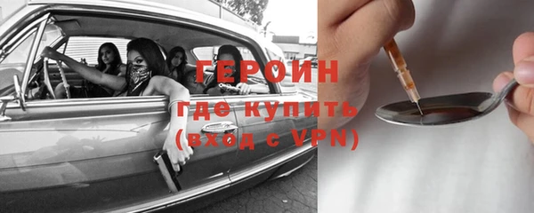 ПСИЛОЦИБИНОВЫЕ ГРИБЫ Дмитриев