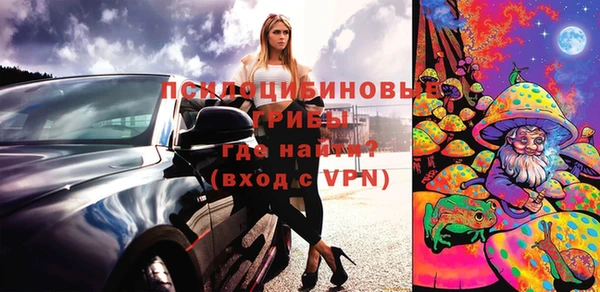 хмурый Алзамай