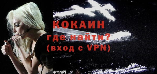 стафф Алексин