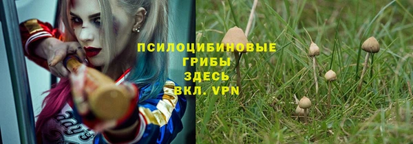 стафф Алексин