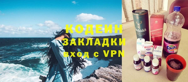 хмурый Алзамай